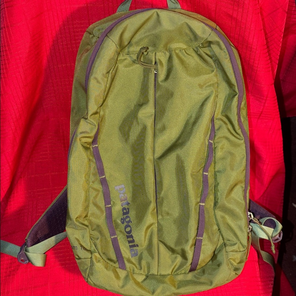 Green PATAGONIA ATOM 18L BACKPACK